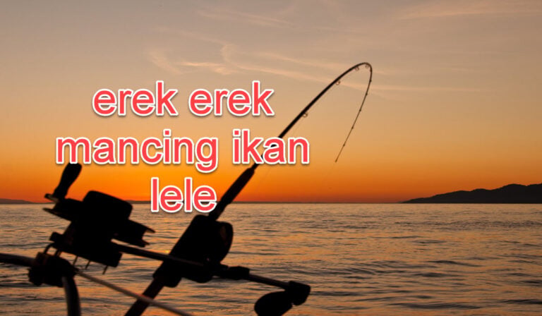 erek-erek-mancing-ikan-lele